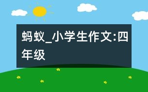 螞蟻_小學(xué)生作文:四年級