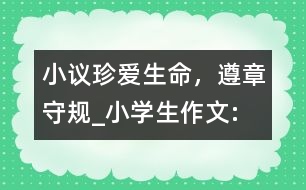 小議“珍愛生命，遵章守規(guī)”_小學(xué)生作文:四年級