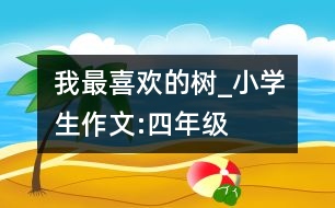 我最喜歡的樹_小學生作文:四年級