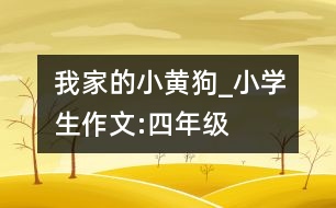 我家的小黃狗_小學生作文:四年級