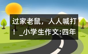 過“家”老鼠，人人喊打！_小學(xué)生作文:四年級(jí)