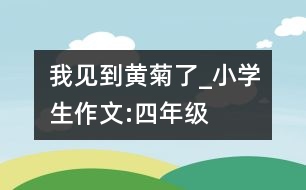 我見到黃菊了_小學生作文:四年級