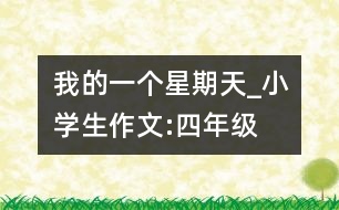 我的一個(gè)星期天_小學(xué)生作文:四年級(jí)