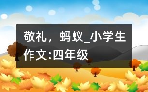 敬禮，螞蟻_小學(xué)生作文:四年級