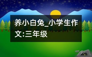 養(yǎng)小白兔_小學(xué)生作文:三年級(jí)