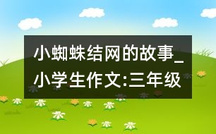 小蜘蛛結(jié)網(wǎng)的故事_小學(xué)生作文:三年級(jí)