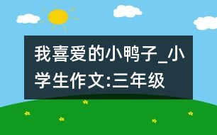 我喜愛的小鴨子_小學(xué)生作文:三年級