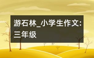 游石林_小學生作文:三年級