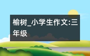 榆樹_小學生作文:三年級