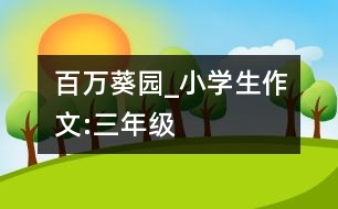 百萬葵園_小學(xué)生作文:三年級