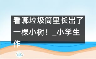 看哪垃圾筒里長出了一棵小樹！_小學(xué)生作文:三年級