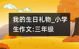 我的生日禮物_小學(xué)生作文:三年級