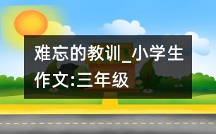 難忘的教訓(xùn)_小學(xué)生作文:三年級(jí)