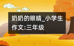 奶奶的眼睛_小學生作文:三年級