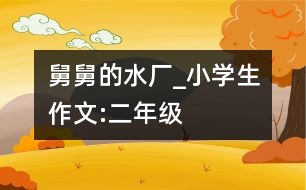 舅舅的水廠_小學(xué)生作文:二年級