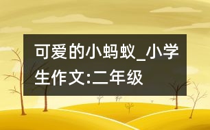 可愛的小螞蟻_小學(xué)生作文:二年級(jí)