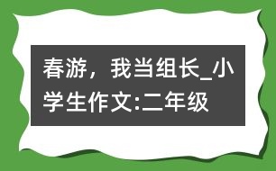 春游，我當(dāng)組長(zhǎng)_小學(xué)生作文:二年級(jí)