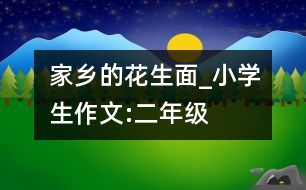 家鄉(xiāng)的花生面_小學(xué)生作文:二年級