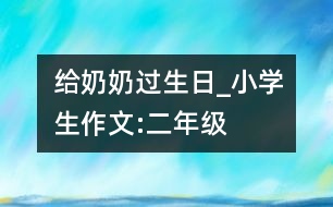 給奶奶過生日_小學生作文:二年級