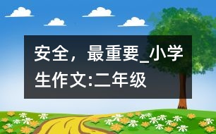 安全，最重要_小學(xué)生作文:二年級