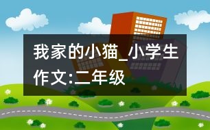 我家的小貓_小學(xué)生作文:二年級