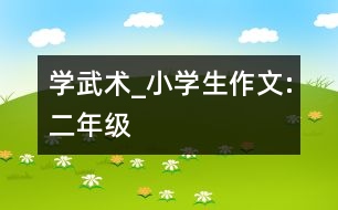 學武術_小學生作文:二年級