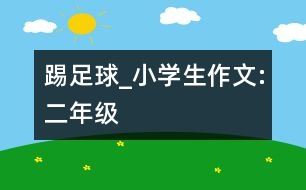 踢足球_小學(xué)生作文:二年級