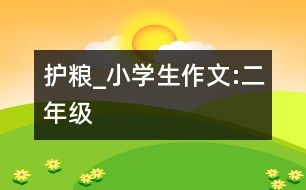 護糧_小學生作文:二年級