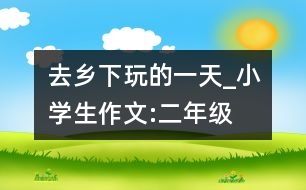 去鄉(xiāng)下玩的一天_小學(xué)生作文:二年級