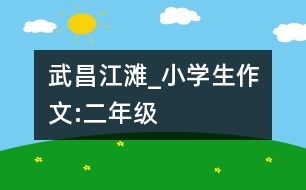 武昌江灘_小學(xué)生作文:二年級