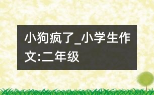 小狗“瘋”了_小學(xué)生作文:二年級(jí)