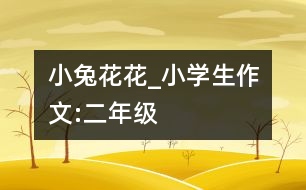 小兔花花_小學(xué)生作文:二年級(jí)