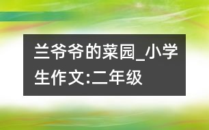 蘭爺爺?shù)牟藞@_小學(xué)生作文:二年級