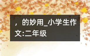 “，”的妙用_小學(xué)生作文:二年級