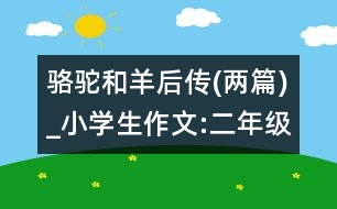 駱駝和羊后傳(兩篇)_小學(xué)生作文:二年級