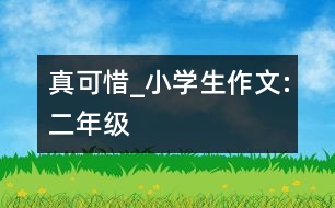 真可惜_小學(xué)生作文:二年級