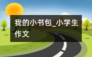 我的小書(shū)包_小學(xué)生作文