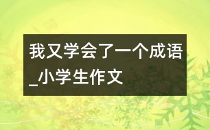 我又學(xué)會(huì)了一個(gè)成語(yǔ)_小學(xué)生作文