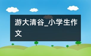 游大清谷_小學生作文