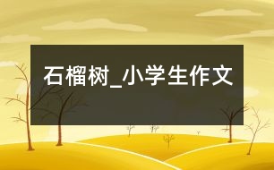 石榴樹_小學(xué)生作文