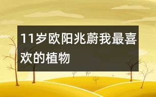 11歲歐陽(yáng)兆蔚：我最喜歡的植物