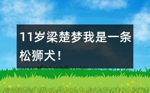 11歲梁楚夢(mèng)：我是一條松獅犬！