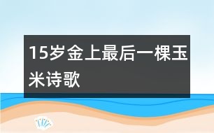 15歲金上：最后一棵玉米（詩(shī)歌）