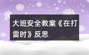 大班安全教案《在打雷時(shí)》反思