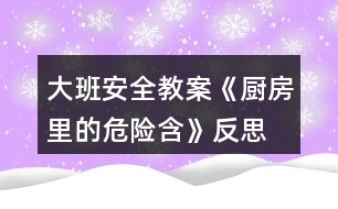 大班安全教案《廚房里的危險(xiǎn)含》反思