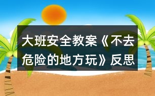 大班安全教案《不去危險的地方玩》反思