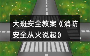 大班安全教案《消防安全從“火”說起》反思