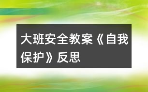 大班安全教案《自我保護(hù)》反思