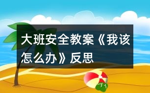 大班安全教案《我該怎么辦》反思