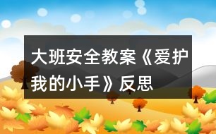 大班安全教案《愛護我的小手》反思